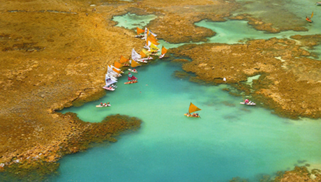 Atrações em Porto de Galinhas - Piscinas Naturais