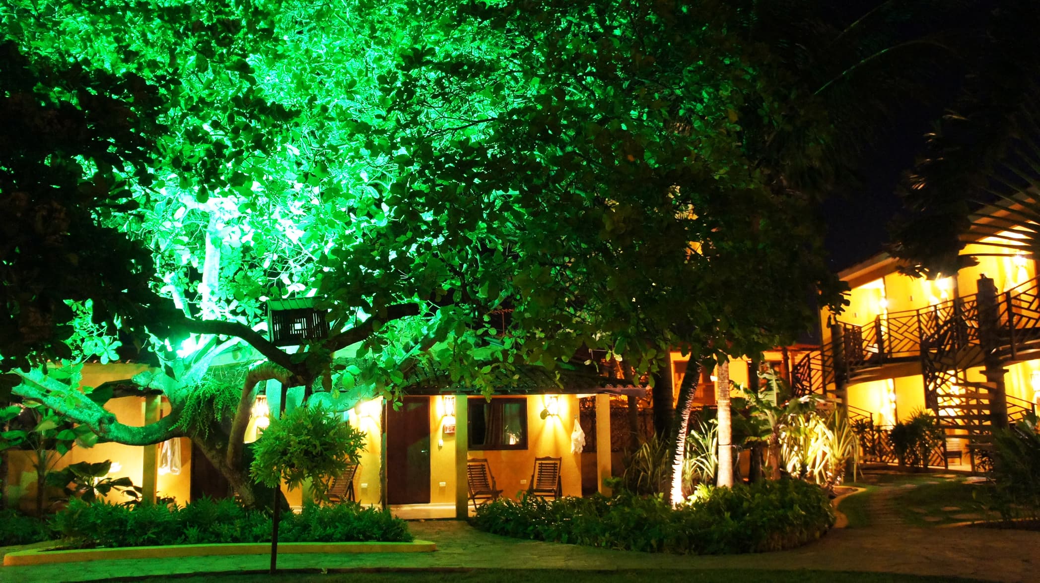 Área externa com cajueiro iluminado no Hotel Aconchego