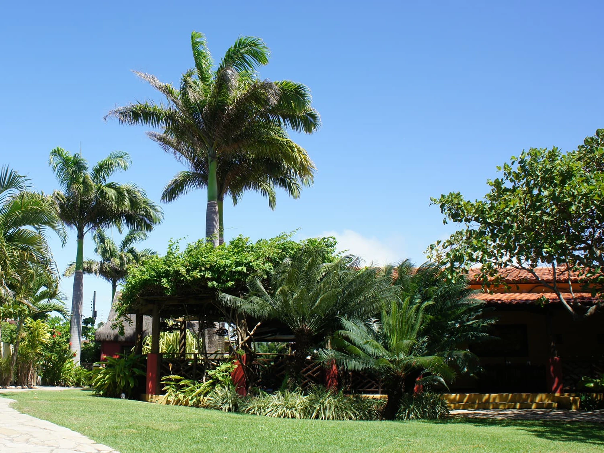 Hotel Aconchego Porto de Galinhas - Apartamentos standard