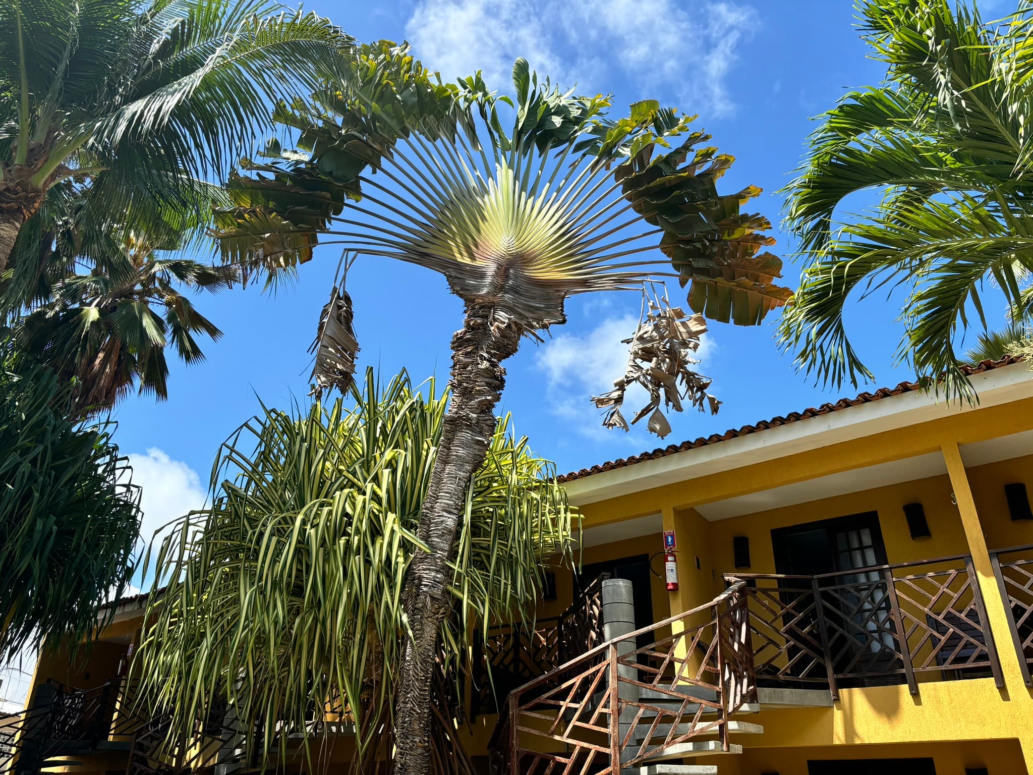 Hotel Aconchego Porto de Galinhas - Apartamentos luxos