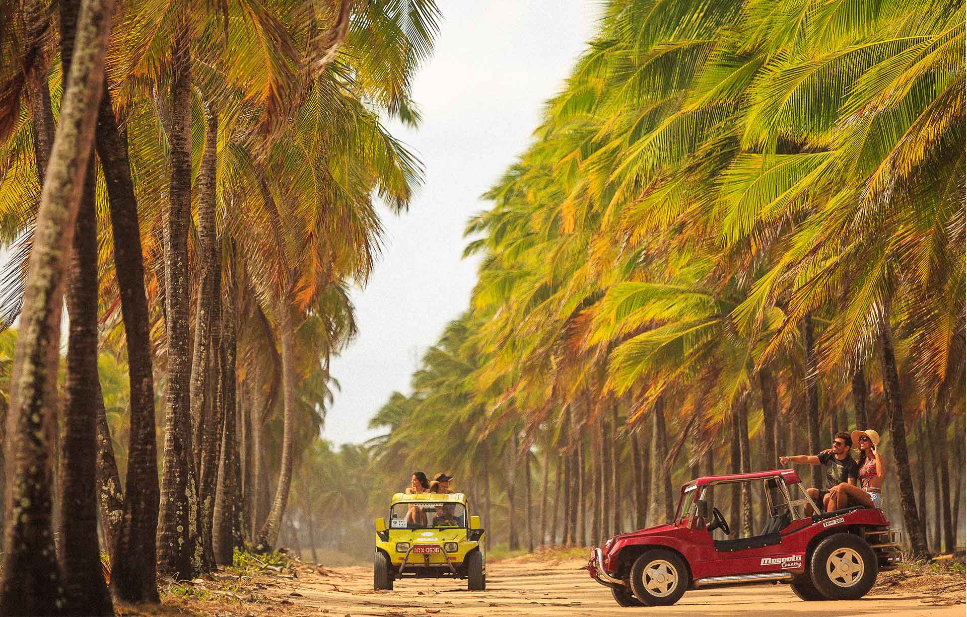 Passeio de Buggy em Maracaípe