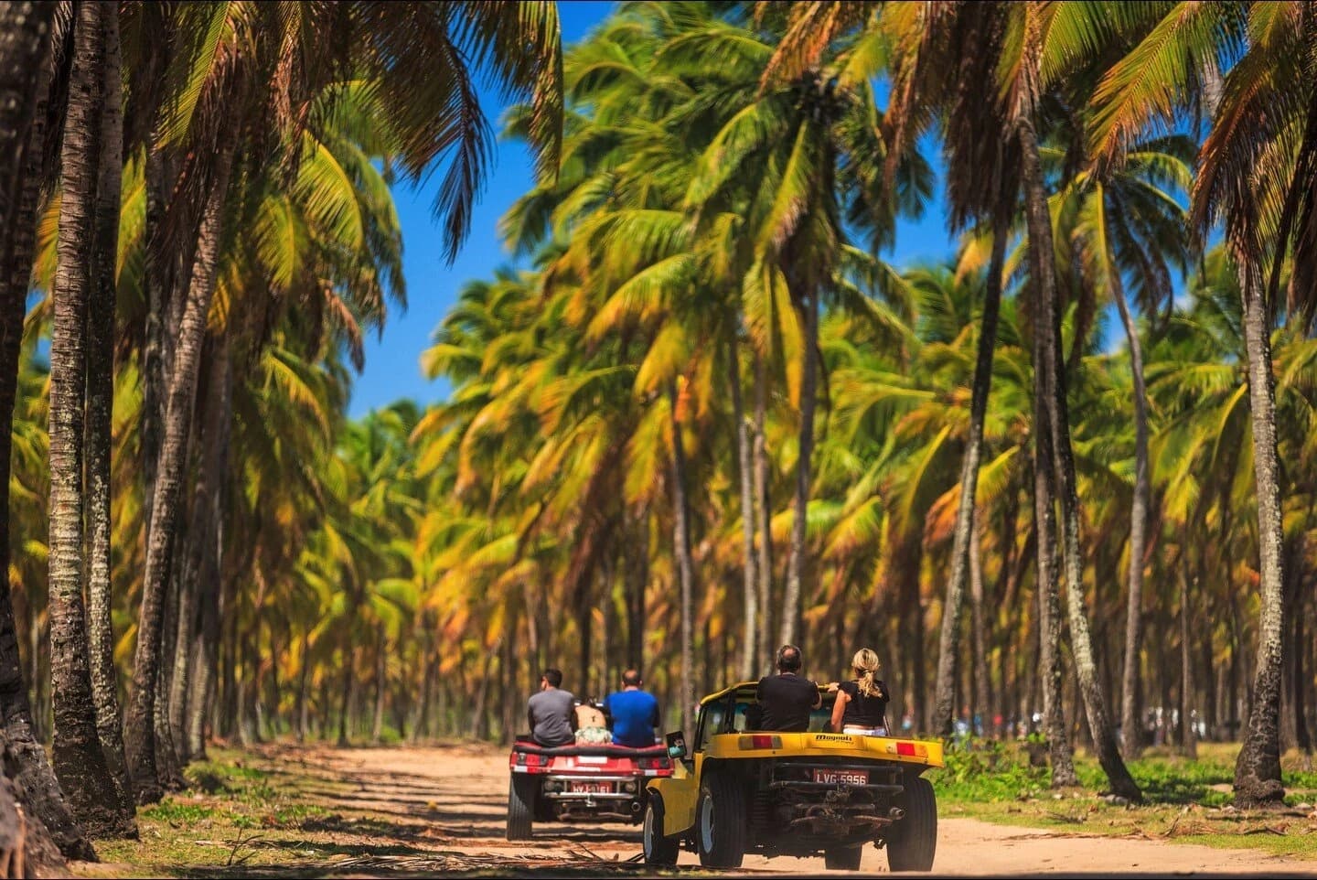 Passeio de Buggy em Porto de Galinhas