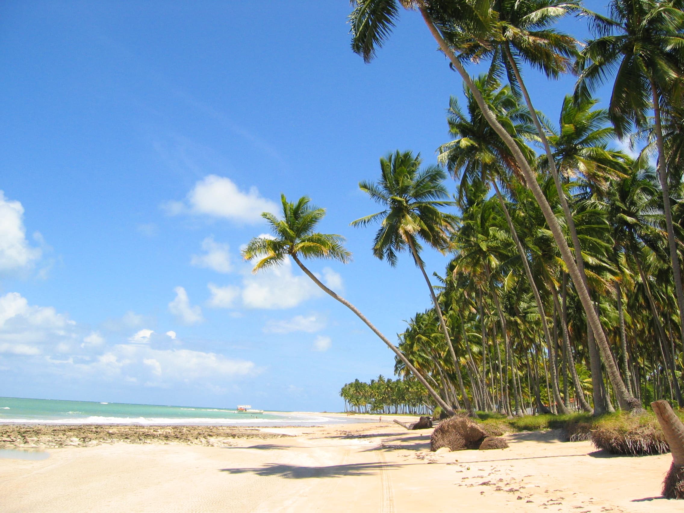 Passeios para praia dos Carneiros a partir do Hotel Aconchego Porto de Galinhas