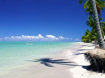 Passeio para Maragogi pela Porto de Galinhas Tours