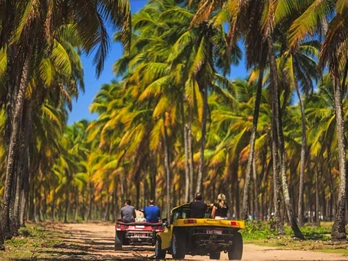 Passeios de Buggy em Porto de Galinhas