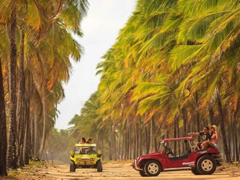 Passeios em Porto de Galinhas - passeio de buggy