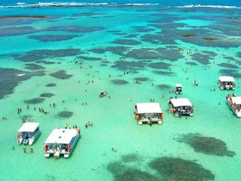 Passeios a partir de Porto de Galinhas - Maragogi