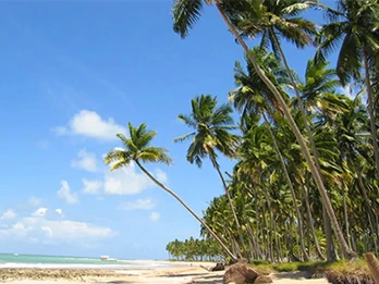 Passeio para Praia dos Carneiros pela Porto de Galinhas Tours