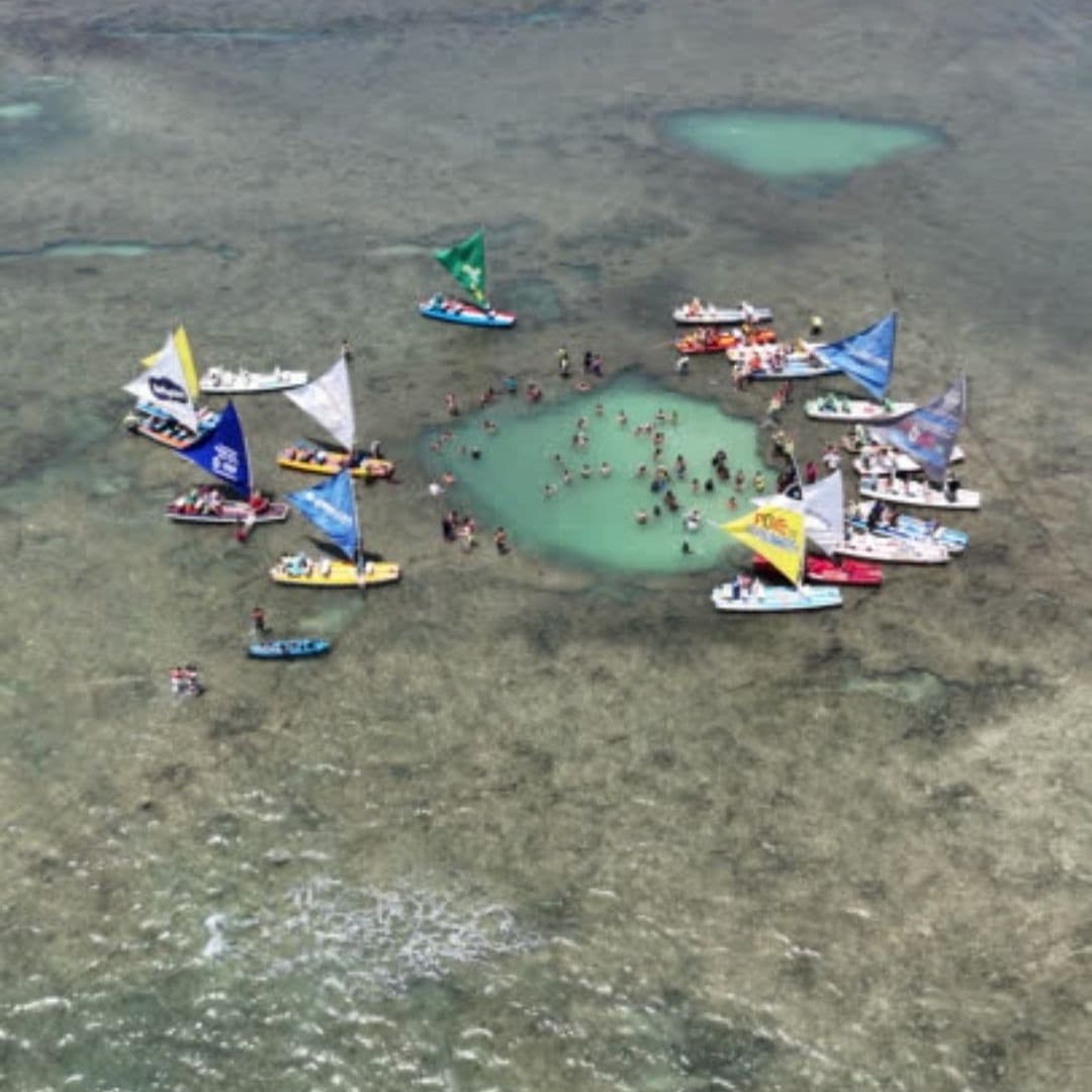 Piscinas Naturais Porto de Galinhas - Passeio em Maré Baixa
