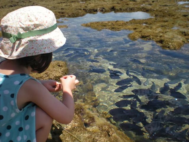 Piscinas Naturais de Porto de Galinhas com Peixes
