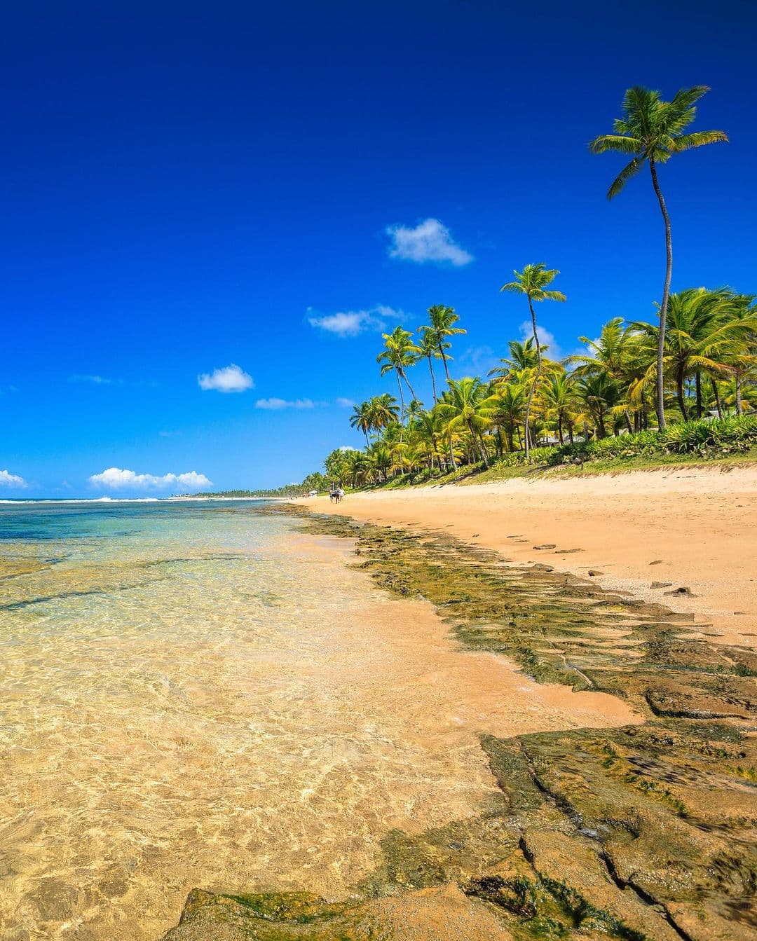 Praia de Porto de Galinhas