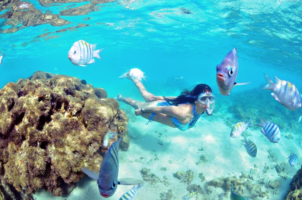 Snorkel nas Piscinas Naturais de Porto de Galinhas